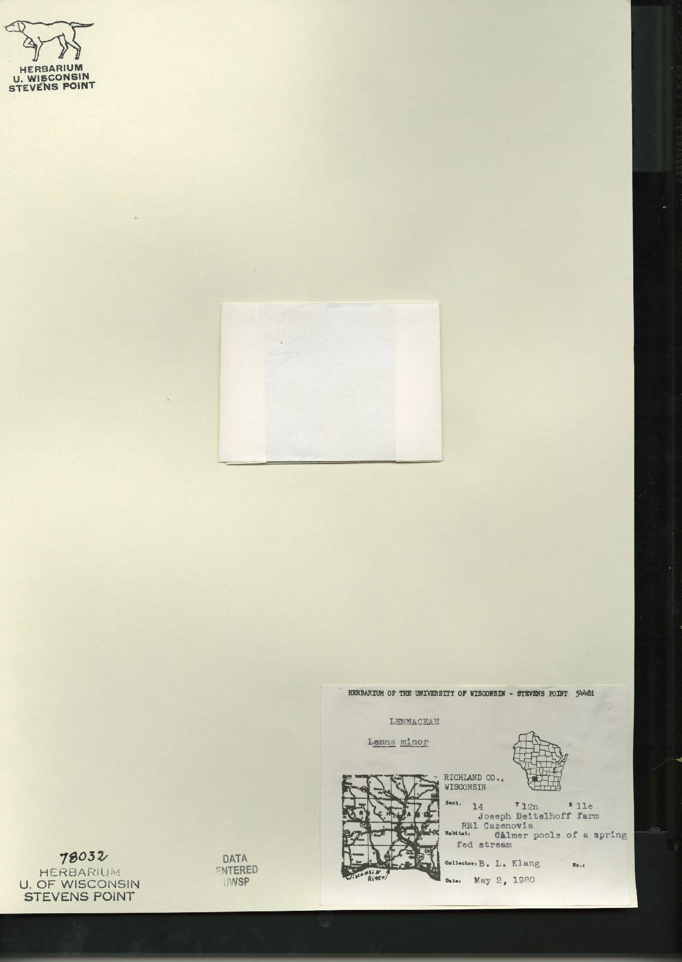 Lemna minor image