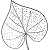 Ipomoea purpurea image