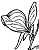 Utricularia cornuta image