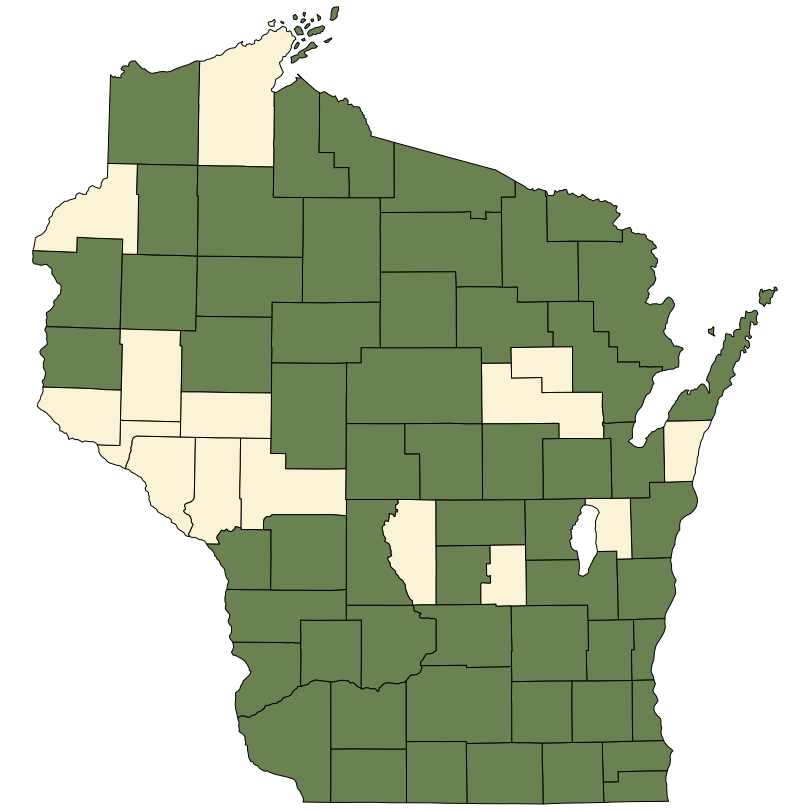 Online Virtual Flora of Wisconsin - Fraxinus