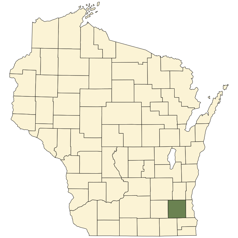 Fraxinus