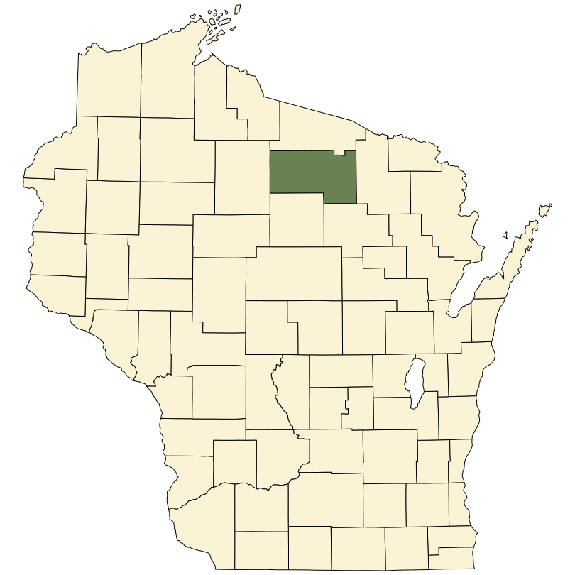 Luzula