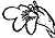 flower drawing