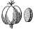 seed drawing