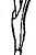sheath drawing