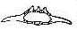 seed drawing