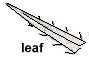 leaf drawing