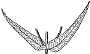 leaf drawing