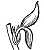 drawing of bracts
